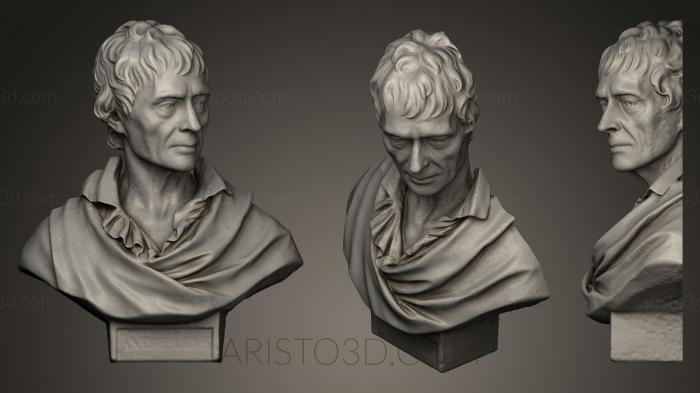 Busts and bas-reliefs of famous people (BUSTC_0674) 3D model for CNC machine